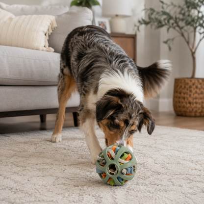 Interactive Snuffle Puzzle Ball for Dogs – Treat-Dispensing Enrichment Toy
